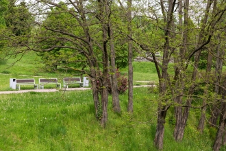 Zielone Radomsko