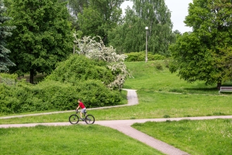 Zielone Radomsko