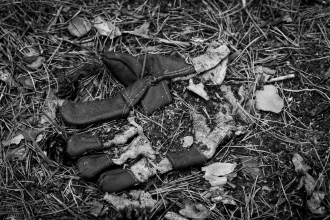 _dsc6083