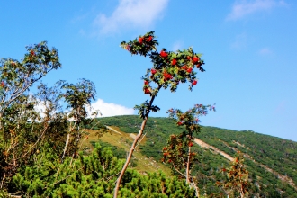 16-dsc09670