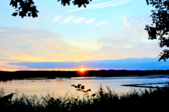 36-dsc_0134