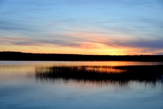 50-dsc_0270
