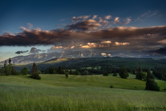Łapszanka