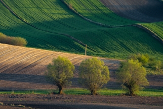 Cieszkowy