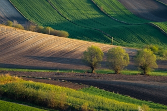 Cieszkowy