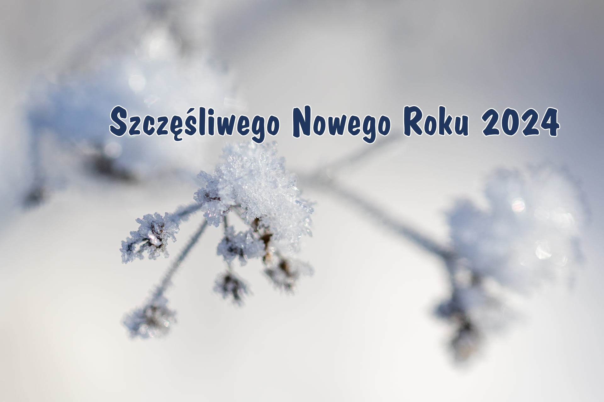 Aktualność nr31